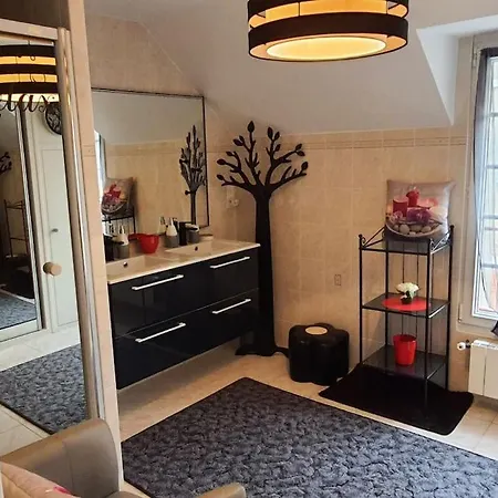 Les Jardins De Ma-mans Maison Cosy Centre Parking Prive Gratuit דירה