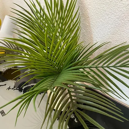 Jardins De Ma-mans Magnifique Maison Cosy Pour 8 Personnes Centre Du Mans Et 24 Parking Prive *