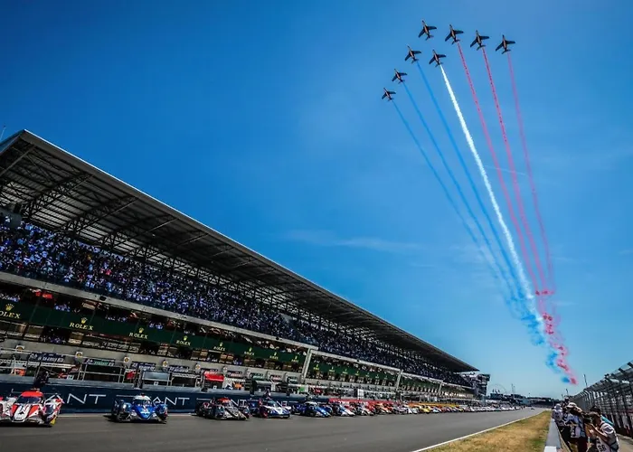 Les Jardins De Ma-mans Maison Cosy Centre Parking Prive Gratuit