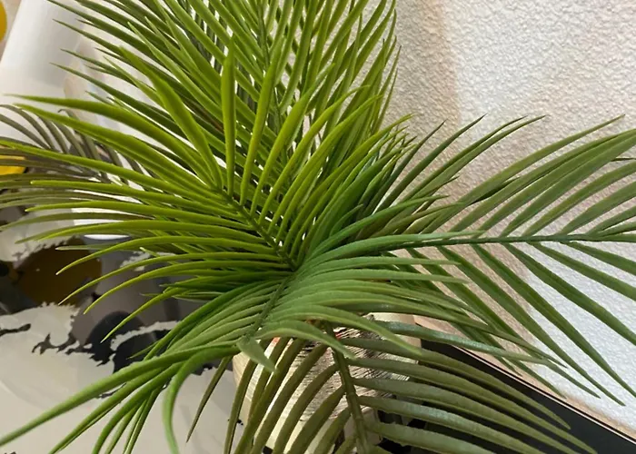 Les Jardins De Ma-mans Maison Cosy Centre Parking Prive Gratuit *