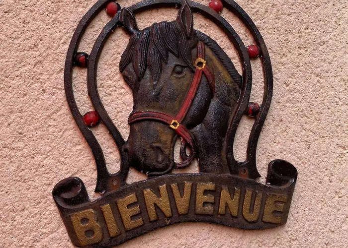 Les Jardins De Ma-mans Maison Cosy Centre Parking Prive Gratuit Le Mans